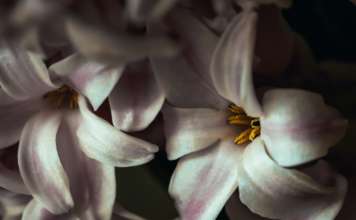 Universe 25 | Un Mondo Perfetto